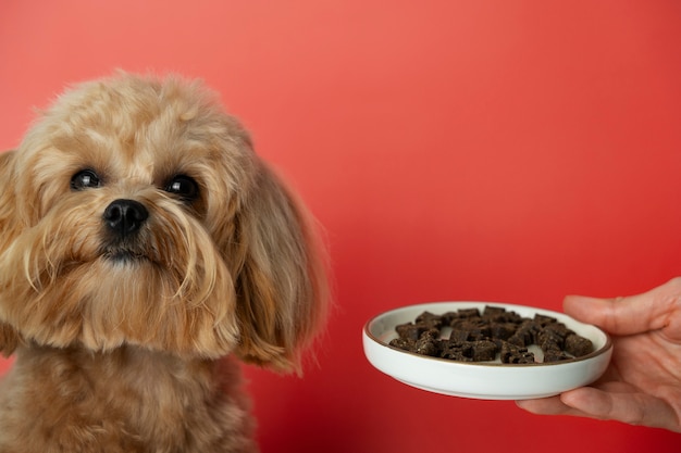 Working Dog Food
