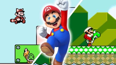 10 Best 2D Levels In Super Mario