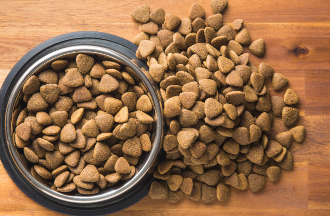 Unleashing the Power of Working Dog Food for Active Canines