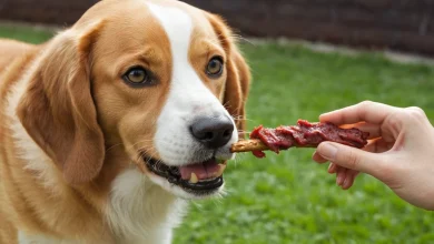 Meat Sticks for Dogs