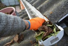 Roof Cleaning Essentials for a Pristine Home Exterior