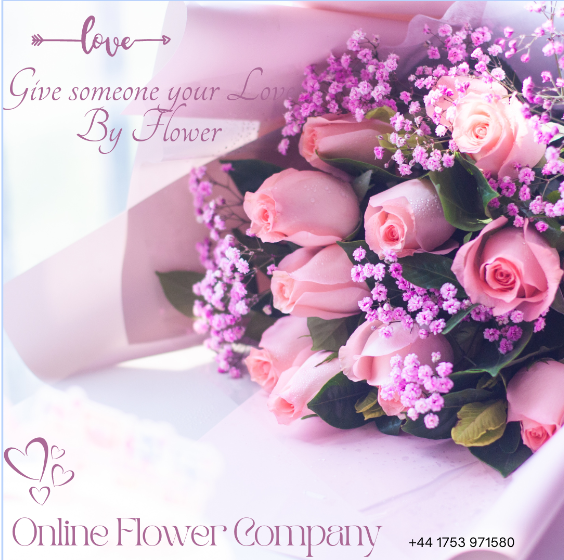 Online Flower Company review | Surprise & Delight