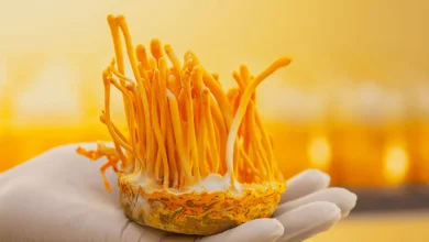 Cordyceps May Boost Lung