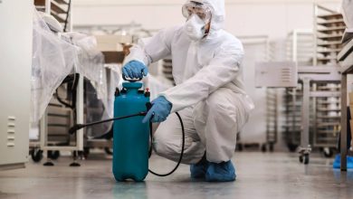 How to Choose the Best Exterminator in Schenectady, NY