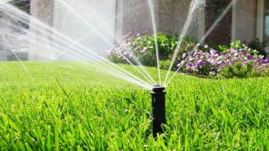 Why the Best Sprinkler Service Matters for Your Home's Lawn and Garden