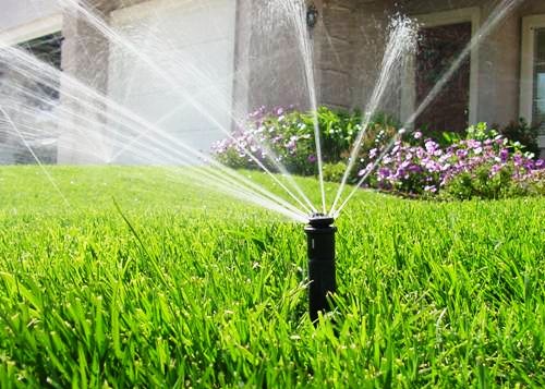 Why the Best Sprinkler Service Matters for Your Home's Lawn and Garden