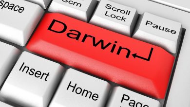 Are You Planning to Do Business in Darwin? – Get Subclass 188A Visa