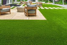 Turf Grass Dallas