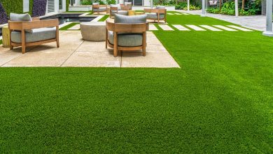 Turf Grass Dallas