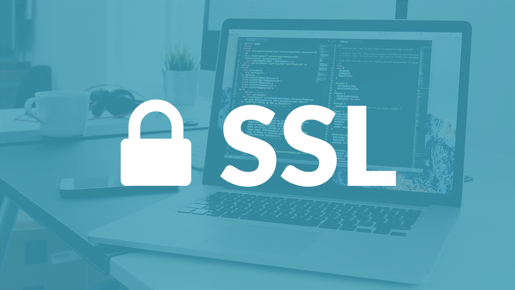 SSL Monitoring