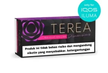 Exploring the Flavor and Smoothness of Terea Blue Indonesian