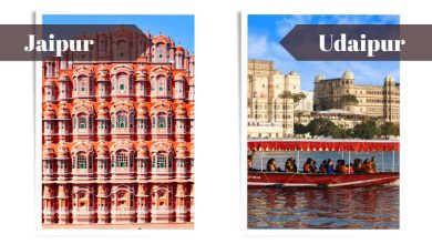 Which City is Better for Planning a Sightseeing Tour- Jaipur or Udaipur?