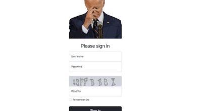 Bidencash